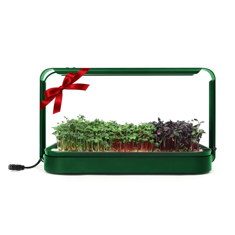 Smart Garden Ideas - Ide Hadiah Natal: Kit Starter Taman
