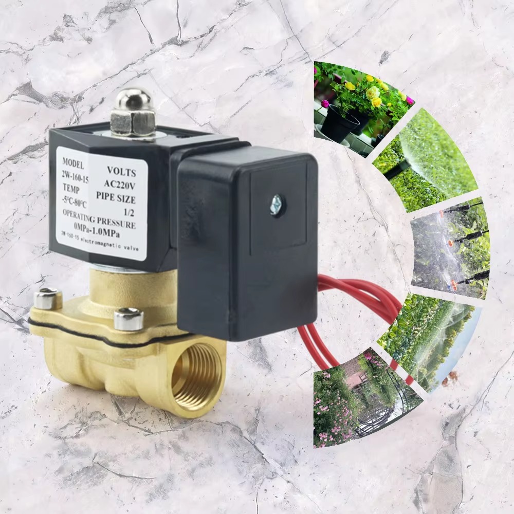 AC220V Tuya WiFi Katup Solenoi - Smart Garden Instructions ulasan dan harga