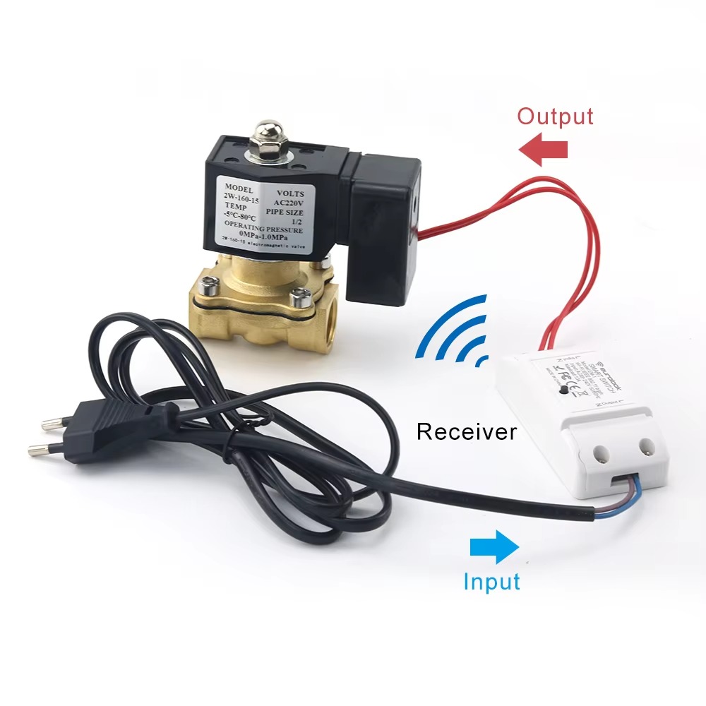 AC220V Tuya WiFi Katup Solenoi - Smart Garden Instructions ulasan dan harga