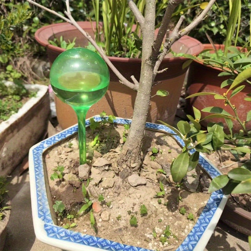 6PCS Bola Penyiram Otomatis un - Smart Garden Project ulasan dan harga
