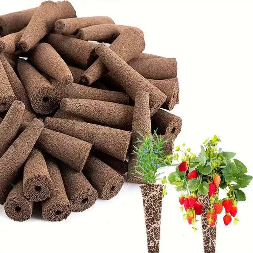 50 Buah Spons Penumbuh Benih P - Aerogarden Seed Pod ulasan dan harga