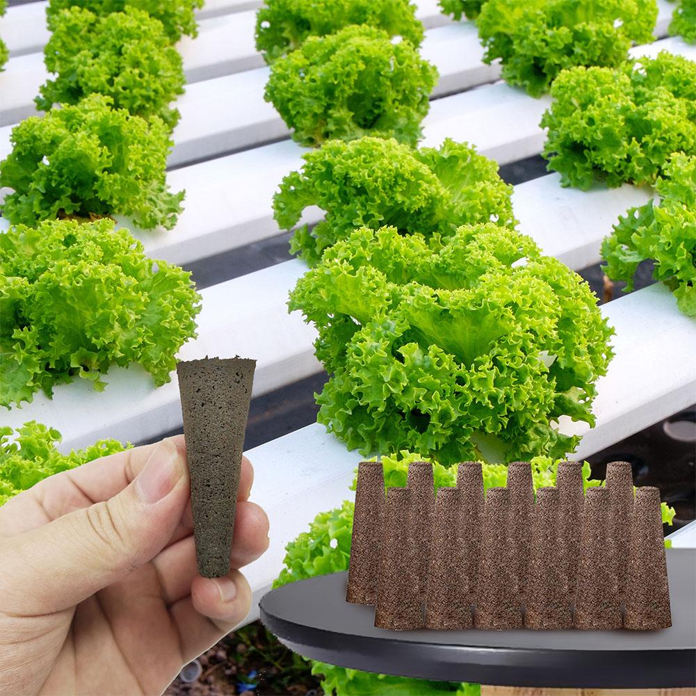 50 Buah Spons Penumbuh Benih P - Aerogarden Seed Pod ulasan dan harga