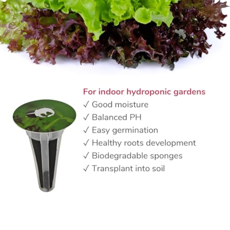 Kit Benih 20 Pod untuk Selada  - Aerogarden Seed Pod ulasan dan harga