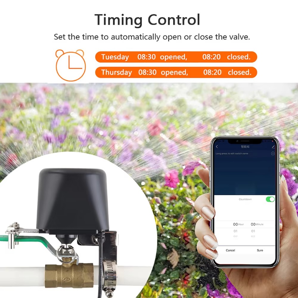 Tuya Zigbee atau Wifi Katup Ai - Smart Garden Instructions ulasan dan harga