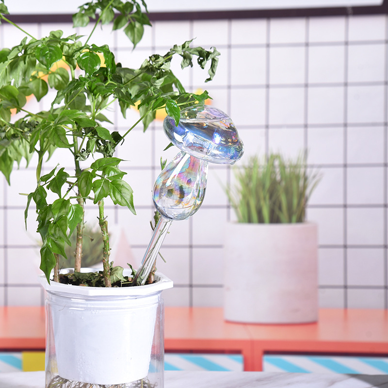 1/2 Buah Bohlam Penyiraman Tan - Smart Garden Project ulasan dan harga