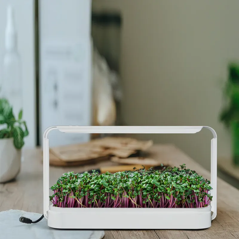 Kit Rumah Kaca Tanaman Herbal  - Smart Garden Ideas ulasan dan harga