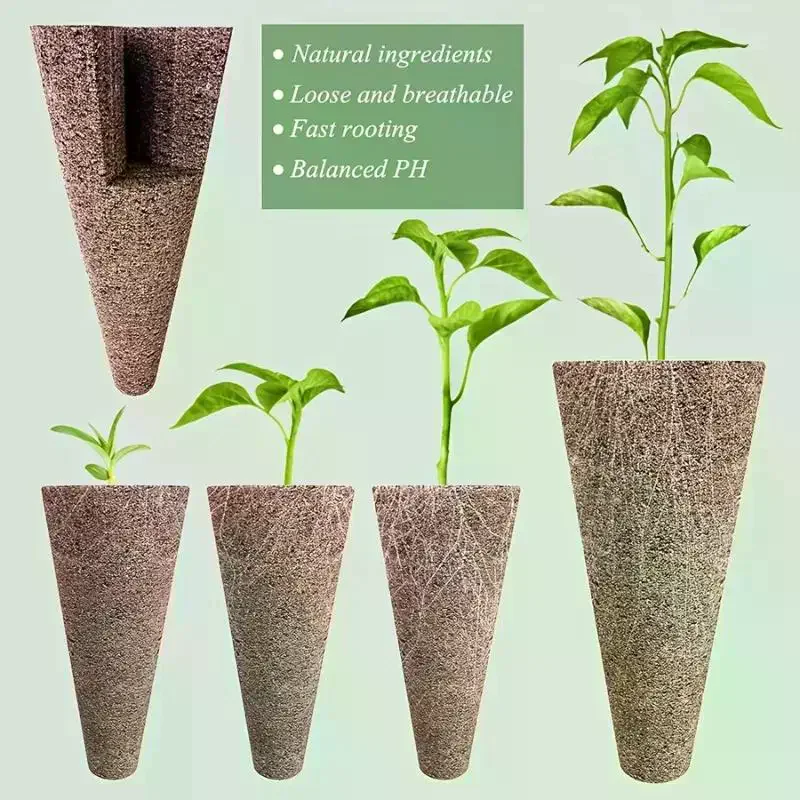 Perlengkapan Hidroponik yang K - Aerogarden Seed Pod ulasan dan harga