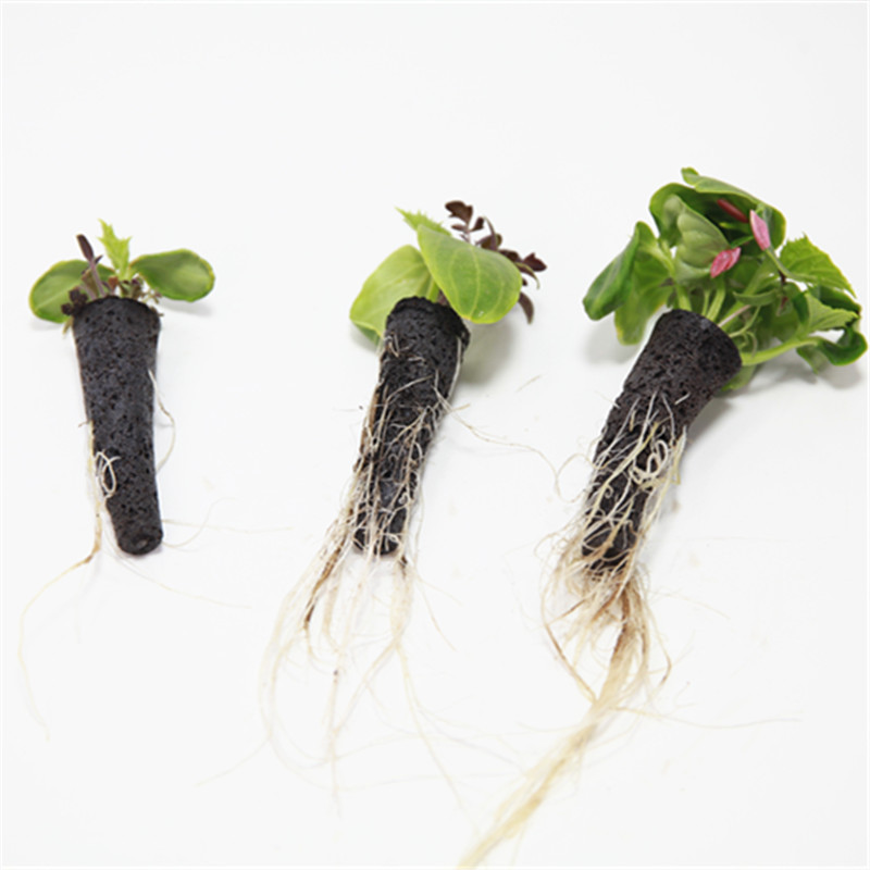 50/100 buah keranjang tumbuh t - Aerogarden Seed Pod ulasan dan harga