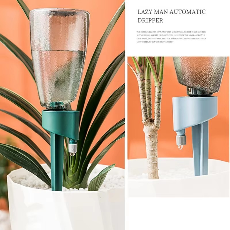 Paku tanaman bisa disesuaikan, - Smart Garden Project ulasan dan harga