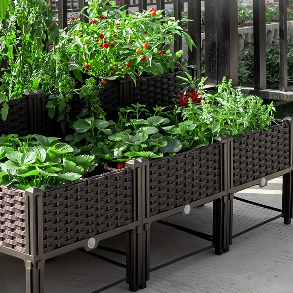 Kotak Penanaman Sayuran Tempat - Smart Garden Storage ulasan dan harga
