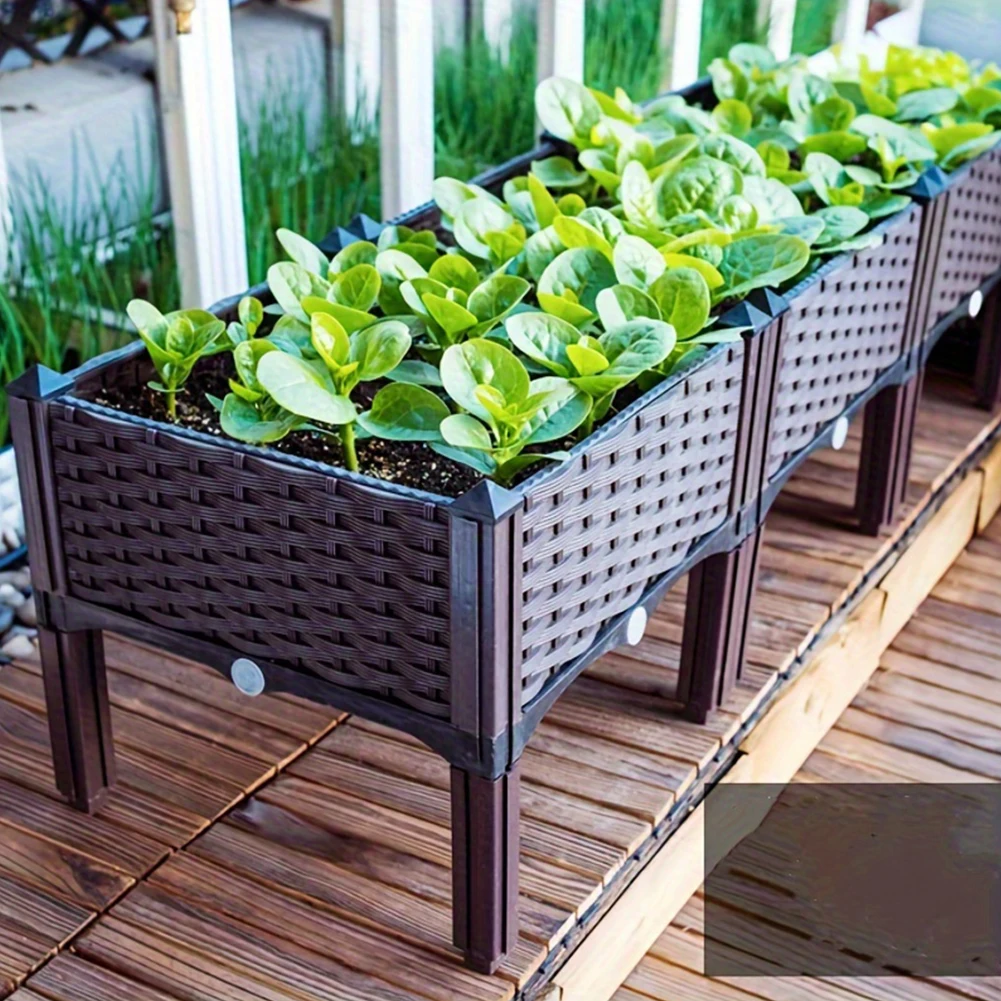 Kotak Penanaman Sayuran Tempat - Smart Garden Storage ulasan dan harga